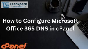 How to Configure Microsoft Office 365 DNS in cPanel